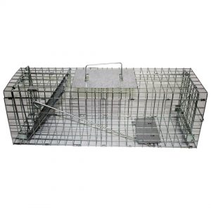 cat cage trap